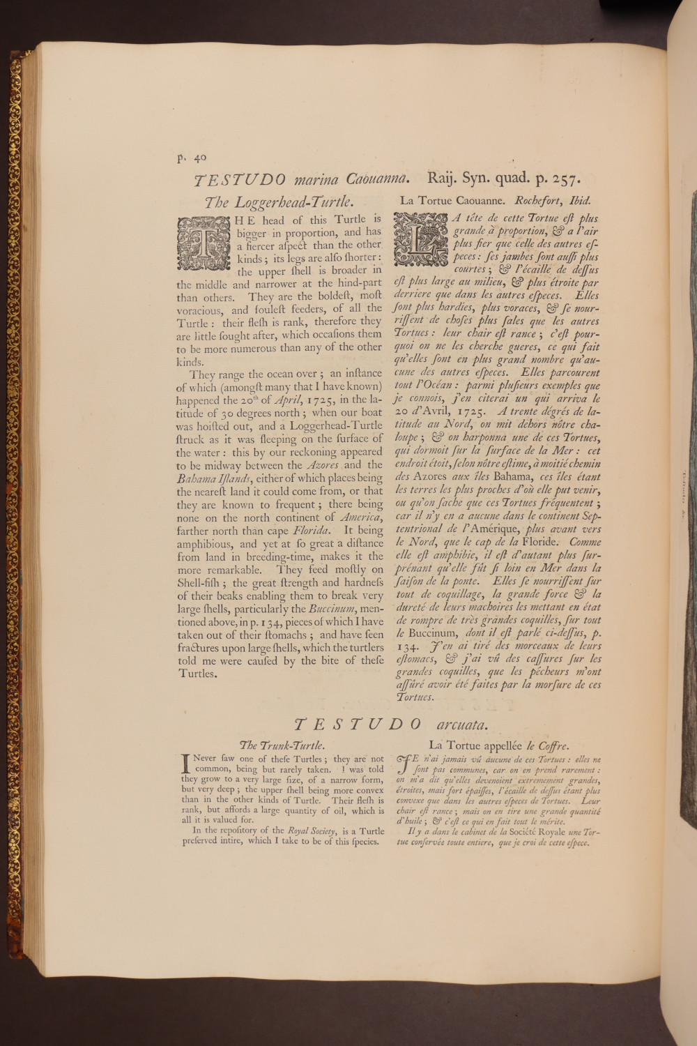 Page 40